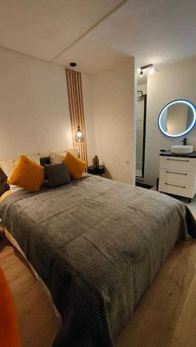 Joli Appartement Au Pied Du Tramway ブゾン エクステリア 写真