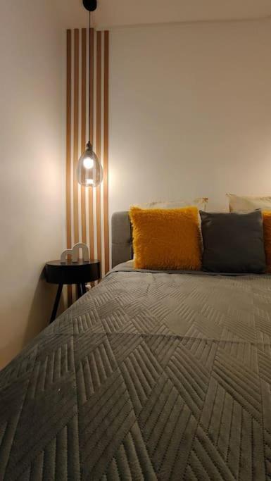 Joli Appartement Au Pied Du Tramway ブゾン エクステリア 写真