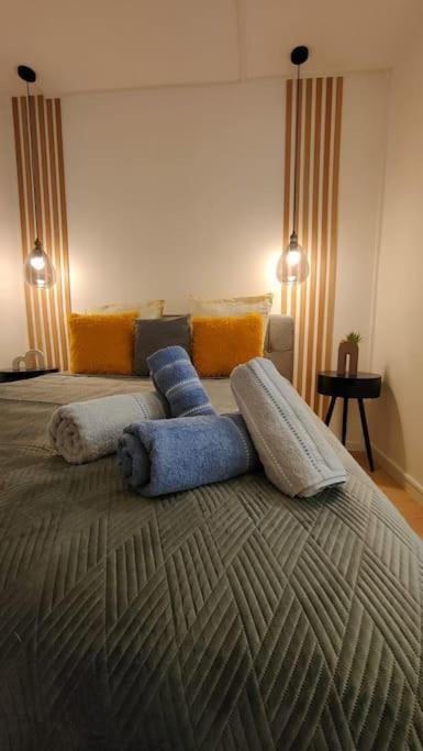 Joli Appartement Au Pied Du Tramway ブゾン エクステリア 写真